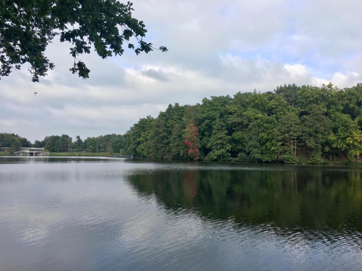 Ferienwohnungen Heideidylle Amelinghausen Exteriör bild